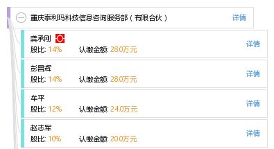 立足專業，服務未來 重慶泰利瑪科技信息咨詢服務部的信息技術咨詢服務